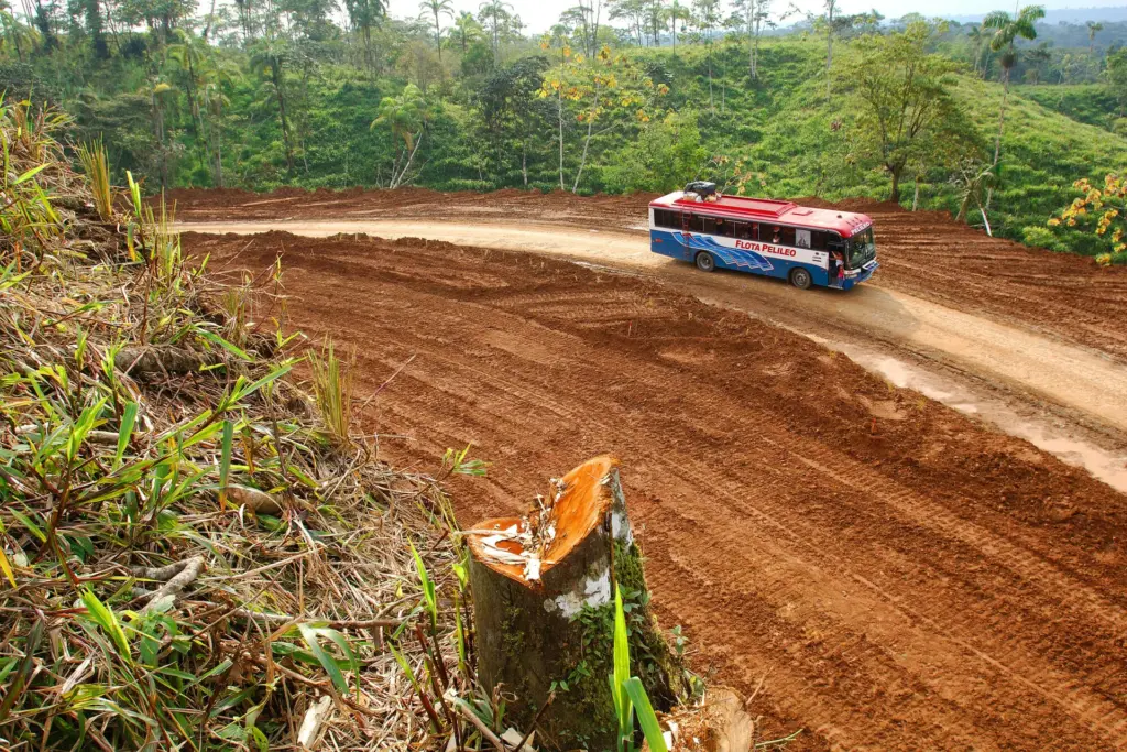 Descobertas arqueológicas revelam civilizações complexas escondidas na Amazônia brasileira
