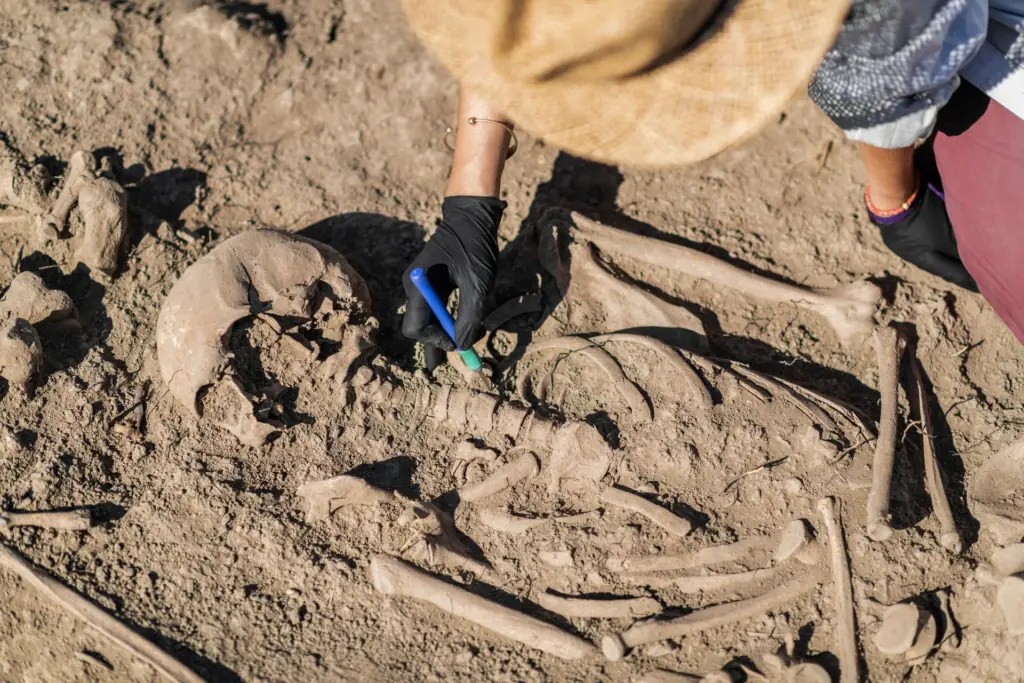 Análise de DNA revela segredos dos primeiros colonos de St. Mary’s City nos Estados Unidos