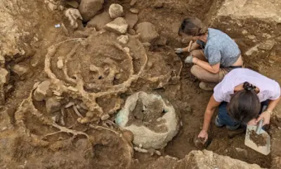 Tesouro de Melsonby surpreende arqueólogos com novos detalhes históricos