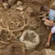 Tesouro de Melsonby surpreende arqueólogos com novos detalhes históricos