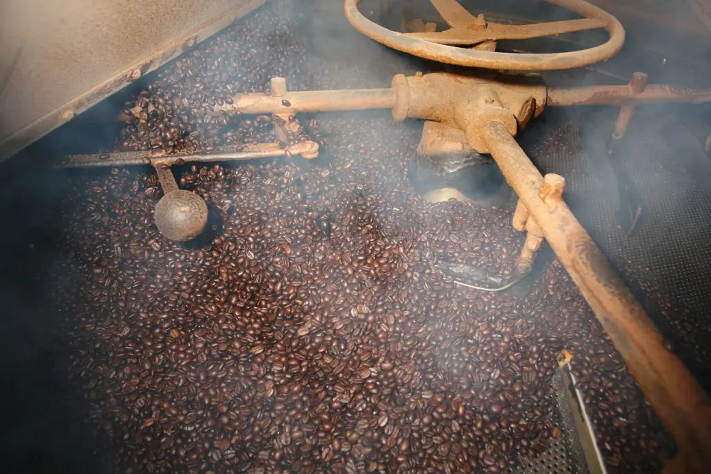 Descoberta em Słupsk revela rara máquina de assar café da era pré-guerra