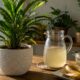 O chá de casca de banana pode ajudar na nutrição das plantas quando usado com moderação