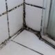 Black mold on white tiled shower wall and glass enclosure.