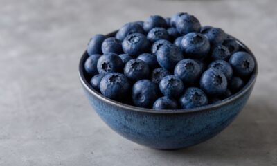 O poder antioxidante dos mirtilos e o que a ciência diz sobre a proteção das células