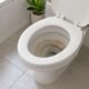 O tempo de ação do produto pode facilitar a remoção de manchas no vaso