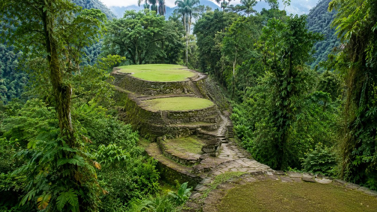 Cidade perdida na selva colombiana revelou vestígios do povo Tayrona