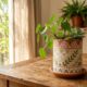 7 ideias com latas recicladas que podem deixar sua casa mais bonita