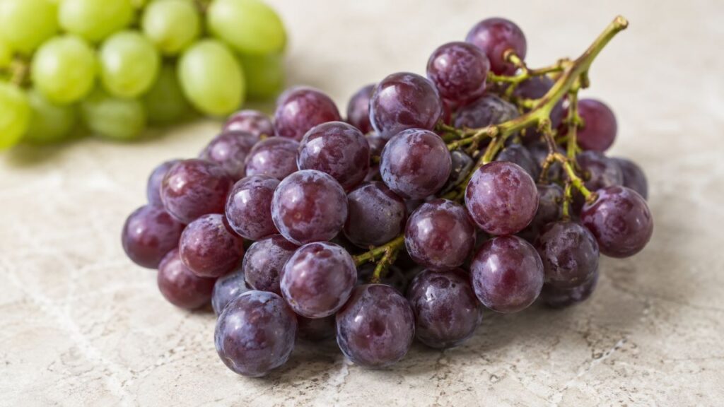 A uva roxa se destaca pela presença de pigmentos antioxidantes naturais
