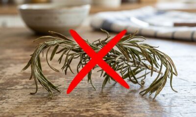 Alecrim murchando? O truque com água de arroz que recupera a planta em poucos dias