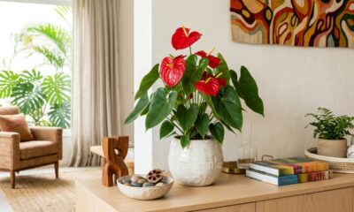 Antúrio vermelho dá cor sem exagero e resolve bem a decoração da casa