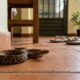 As 5 plantas mais eficazes para manter cobras bem longe de casa