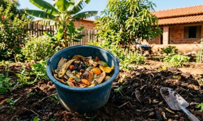 Como fazer adubo caseiro de qualidade sem gastar dinheiro com produtos caros