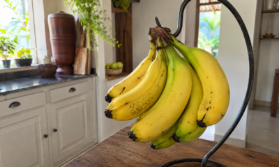 Como conservar banana por mais tempo e evitar que ela fique preta poucos dias depois da compra