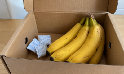 Os saquinhos das caixas de banana que muita gente joga fora podem ser úteis dentro de casa