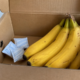 Os saquinhos das caixas de banana que muita gente joga fora podem ser úteis dentro de casa