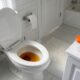 A mudança na urina que parece pequena, mas pode ser o primeiro aviso de problema urinário