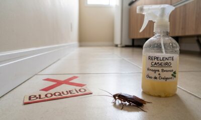 Como usar uma mistura de orégano e vinagre branco para repelir e eliminar baratas