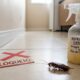 Como usar uma mistura de orégano e vinagre branco para repelir e eliminar baratas