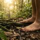 Provérbio indígena do dia: “A terra não pertence ao homem, é o homem que pertence à terra, e quem esquece isso perde o chão antes de perder o caminho”. Lições sobre natureza, humildade e por que viver sem conexão deixa a alma cansada
