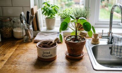 Não jogue fora a borra café: 8 ideias simples para dar uma segunda vida a ele em sua casa