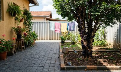 7 árvores frutíferas que não estragam o piso do quintal e são perfeitas para espaços pequenos