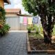 7 árvores frutíferas que não estragam o piso do quintal e são perfeitas para espaços pequenos