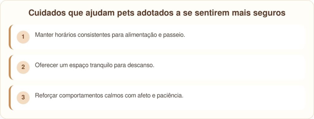 Cadela adotada aguarda nova dona na porta de casa