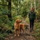 Mulher segue cachorro pela floresta e encontra filhotes escondidos