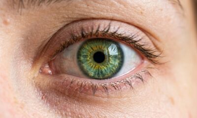 Apenas uma pequena parte do mundo tem olhos verdes: a ciência explica por que essa cor é tão incomum