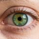 Apenas uma pequena parte do mundo tem olhos verdes: a ciência explica por que essa cor é tão incomum
