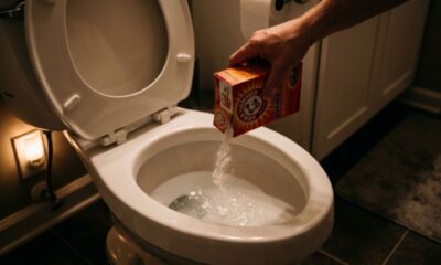 Colocar bicarbonato de sódio no vaso sanitário antes de dormir: o que acontece e por que todo brasileiro deveria saber disso