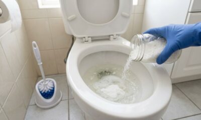 Colocar sal no vaso sanitário antes de dormir: para que serve e por que é recomendado