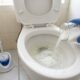 Colocar sal no vaso sanitário antes de dormir: para que serve e por que é recomendado