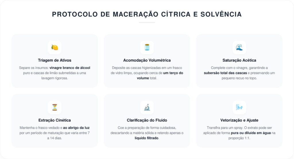 Borrifar vinagre branco com casca de limão nos vidros: por que essa mistura deixa o brilho sem manchas