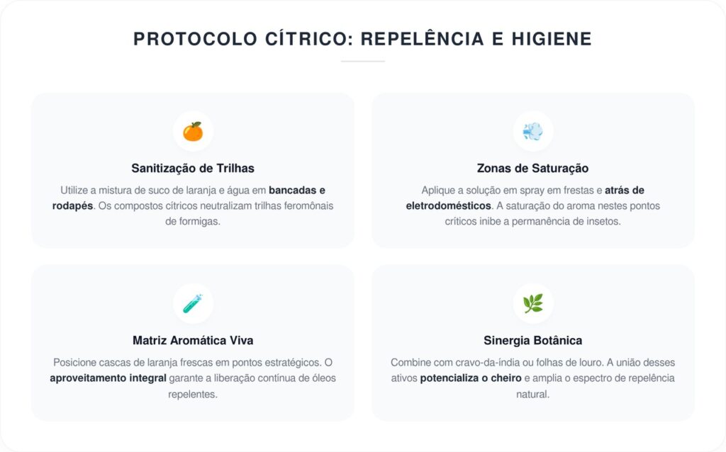 Suco de frutas que repele baratas da sua casa: o que é e como usar