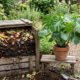 Como transformar restos de alimentos no melhor adubo para fortalecer suas plantas em casa