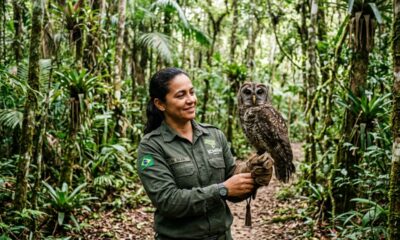 Coruja resgatada agradece ao guarda-parque antes de retornar à natureza