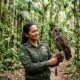 Coruja resgatada agradece ao guarda-parque antes de retornar à natureza
