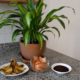 Dracena perdendo o brilho? Esses adubos caseiros podem ajudar sem complicar o cuidado