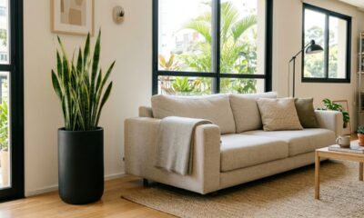 Decoração minimalista ganha vida com espada-de-são-jorge em vaso alto e deixa o ambiente mais elegante