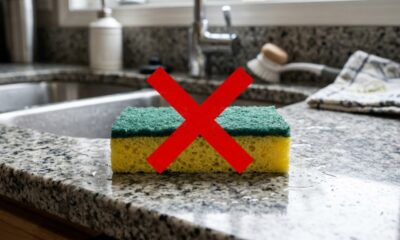 Adeus à esponja tradicional: por que cada vez mais pessoas a estão substituindo na limpeza doméstica