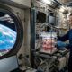 China envia estruturas semelhantes a embriões humanos para estação espacial Tiangong