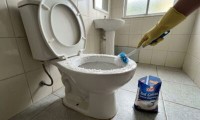 "Experimente jogar um punhado de sal grosso no vaso sanitário" 30 minutos depois, toda a família estará te elogiando