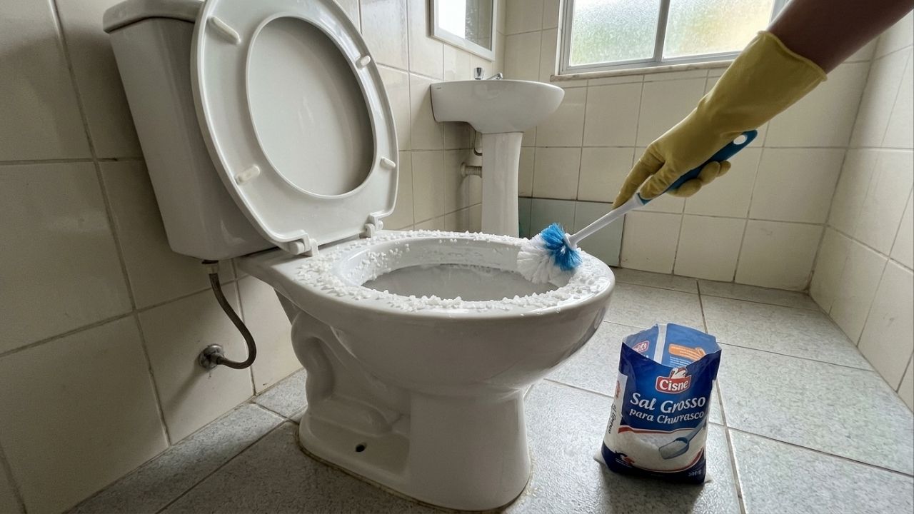 "Experimente jogar um punhado de sal grosso no vaso sanitário" 30 minutos depois, toda a família estará te elogiando