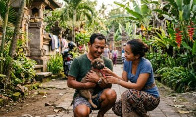 Casal conhece filhote de cachorro perdido em Bali e decide salvá-lo