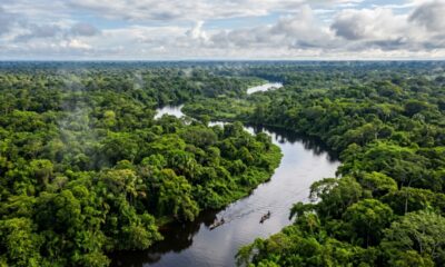 Descobertas arqueológicas revelam civilizações complexas escondidas na Amazônia brasileira