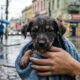 Cachorrinho abandonado é resgatado da chuva e ganha nova chance