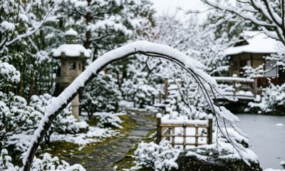 Provérbio japonês do dia, “A neve não quebra o galho que sabe ceder um pouco, mas pesa sobre aquele que insiste em parecer forte o tempo inteiro”. Lições sobre orgulho, exaustão e por que admitir limite também é sabedoria