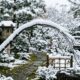 Provérbio japonês do dia, “A neve não quebra o galho que sabe ceder um pouco, mas pesa sobre aquele que insiste em parecer forte o tempo inteiro”. Lições sobre orgulho, exaustão e por que admitir limite também é sabedoria