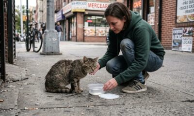 Todos passaram por ali, até uma pessoa parar para ajudar este gato doente